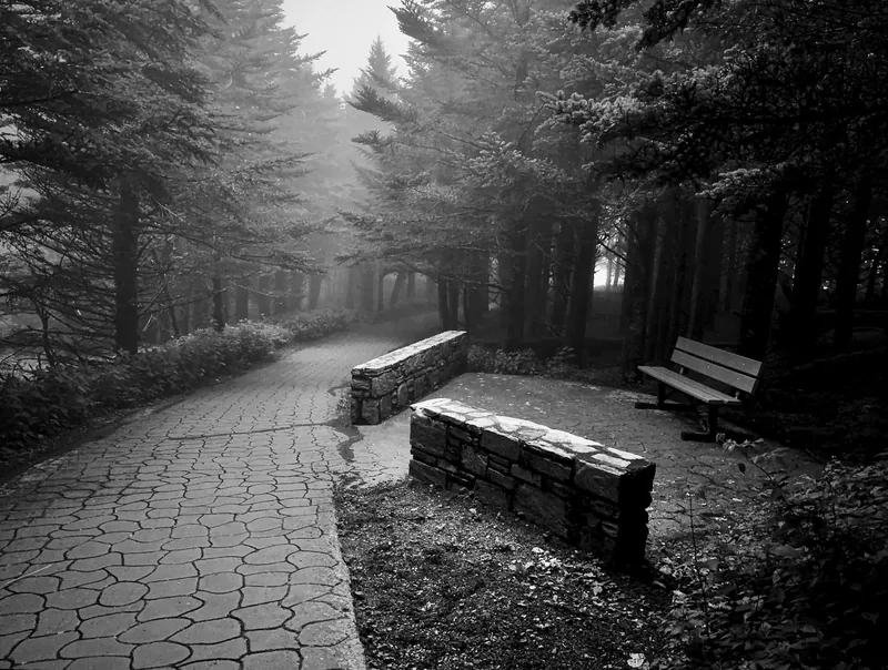 Mount Mitchell State Park, North Carolina