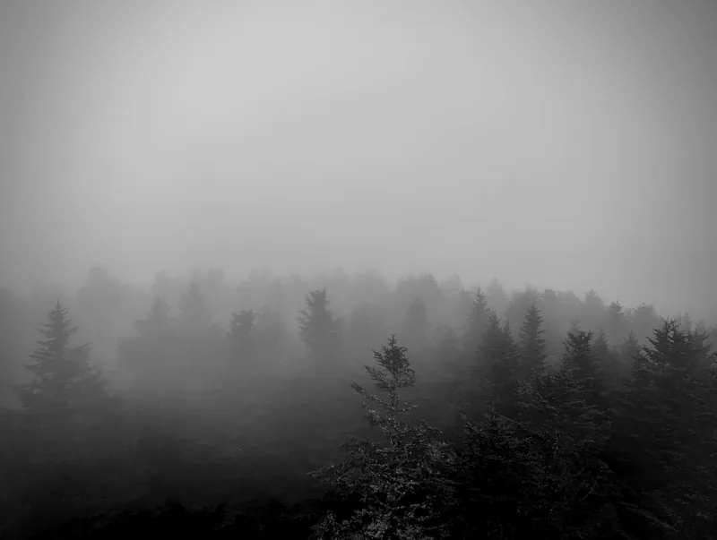 Kuwohi Observation Tower (Or Formerly Known As Clingmans Dome)