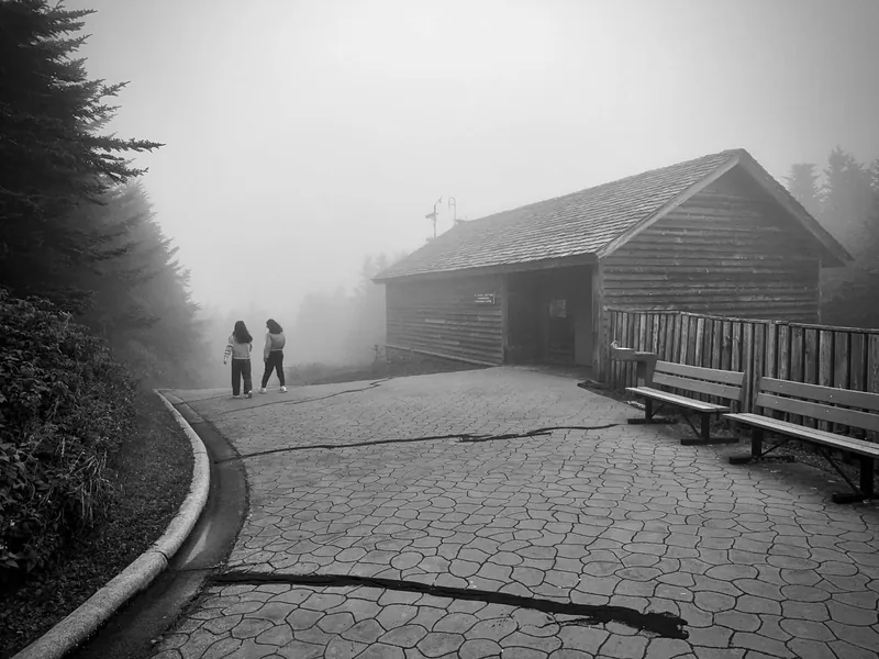 Mount Mitchell State Park, North Carolina
